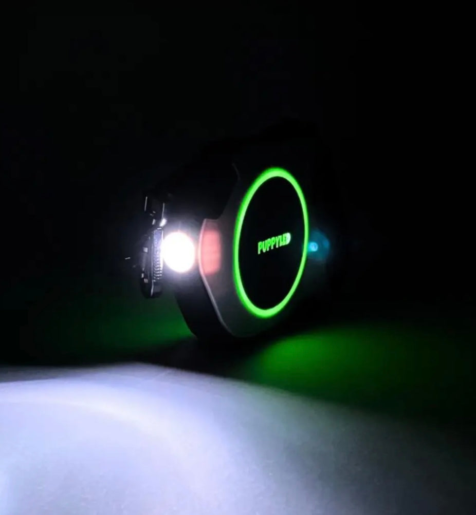 LED Retractable Dog Leash W/Flashlight
