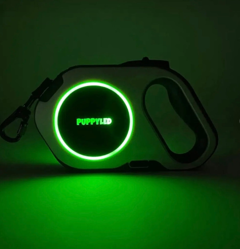 LED Retractable Dog Leash W/Flashlight