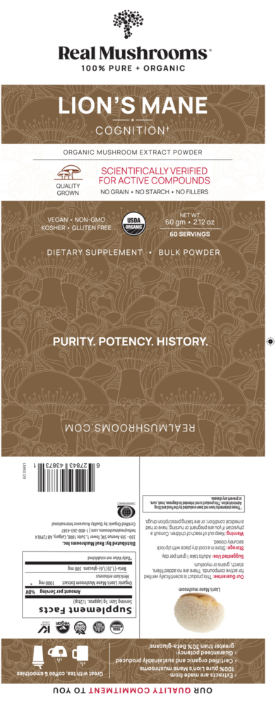 Lion's Mane Extract Powder