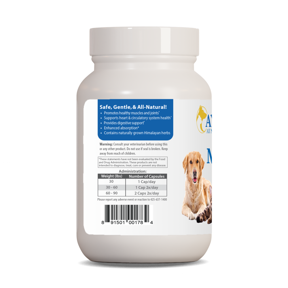 Pet Curcumin 97%