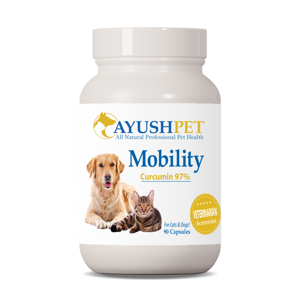 Pet Curcumin 97%