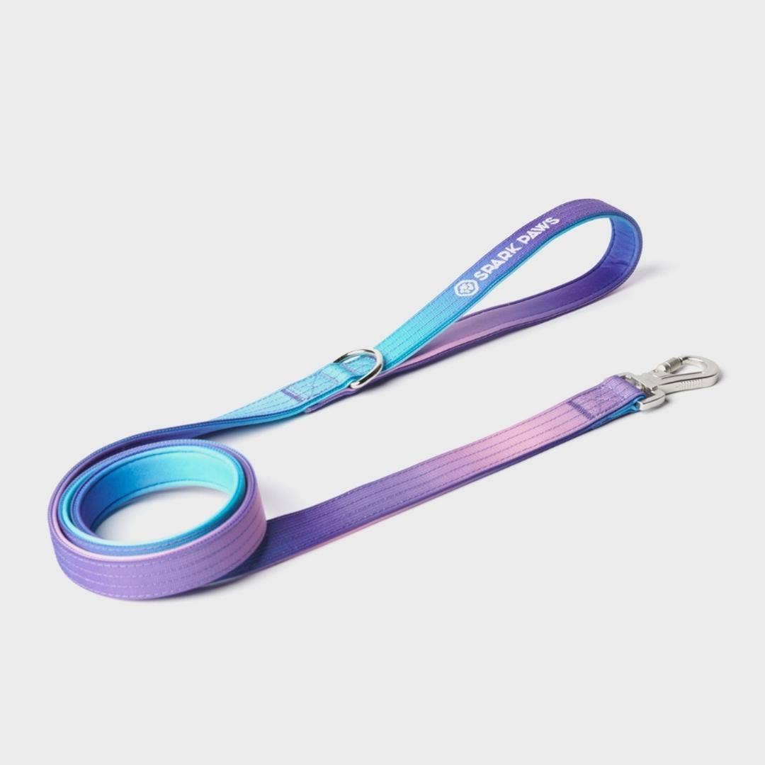 Comfort Control Dog Leash - 90s Retro: OS