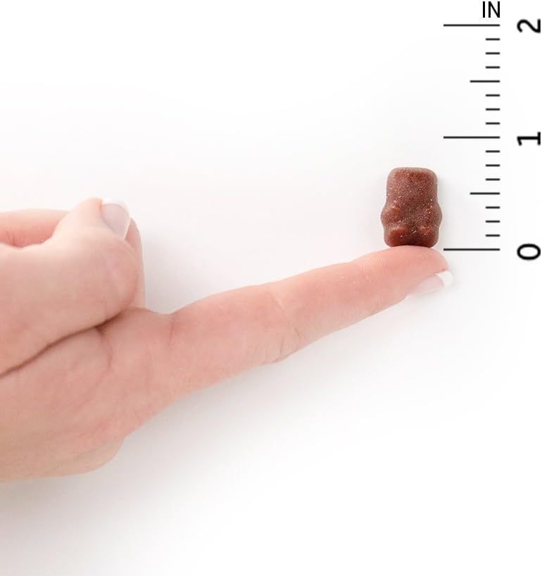 Mykind Organics Kids Multi Gummies Vegan Gummies Fruit