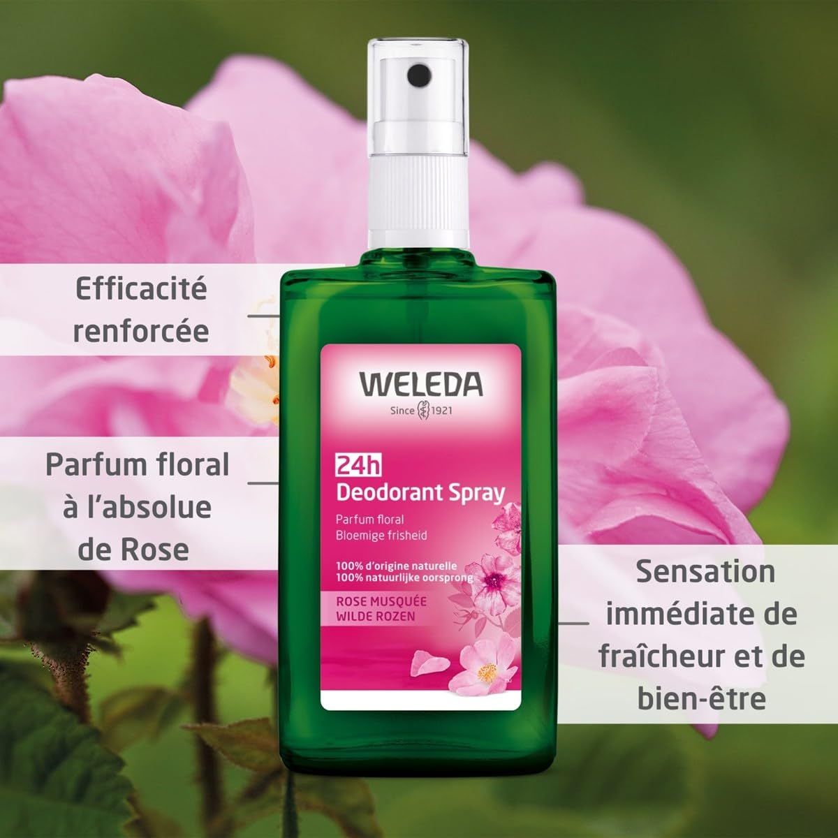 Deodorant Spray - Wild Rose 3.4 Oz Spray