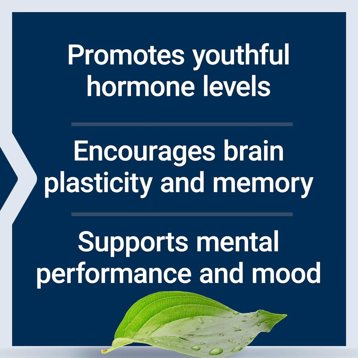 Pregnenolone 100 MG 100 Capsules