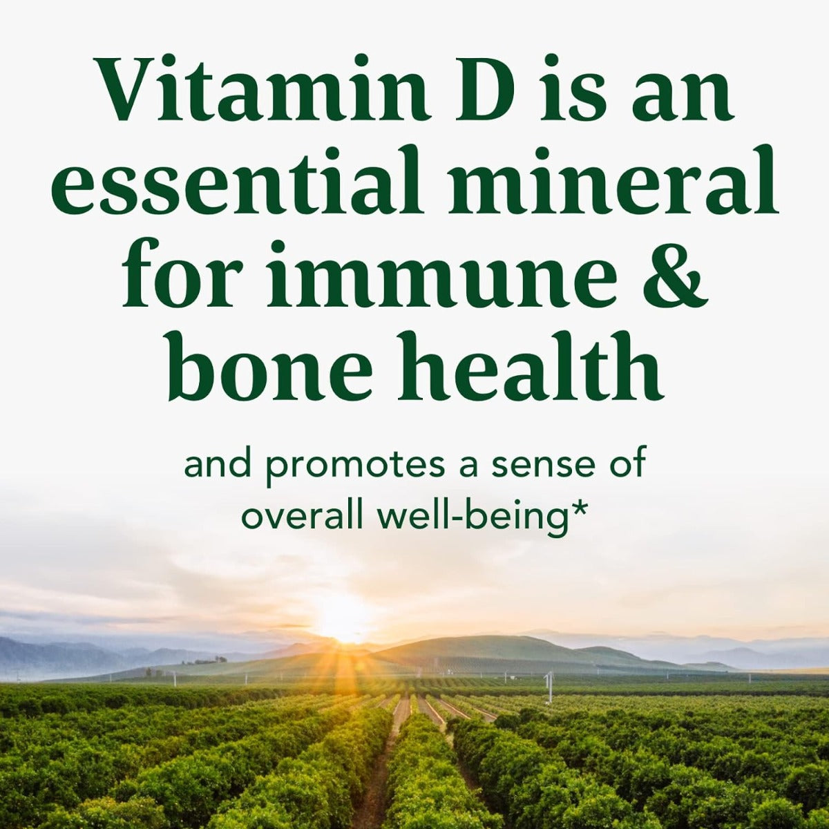 Vitamin D3 1000 IU 60 Tablets