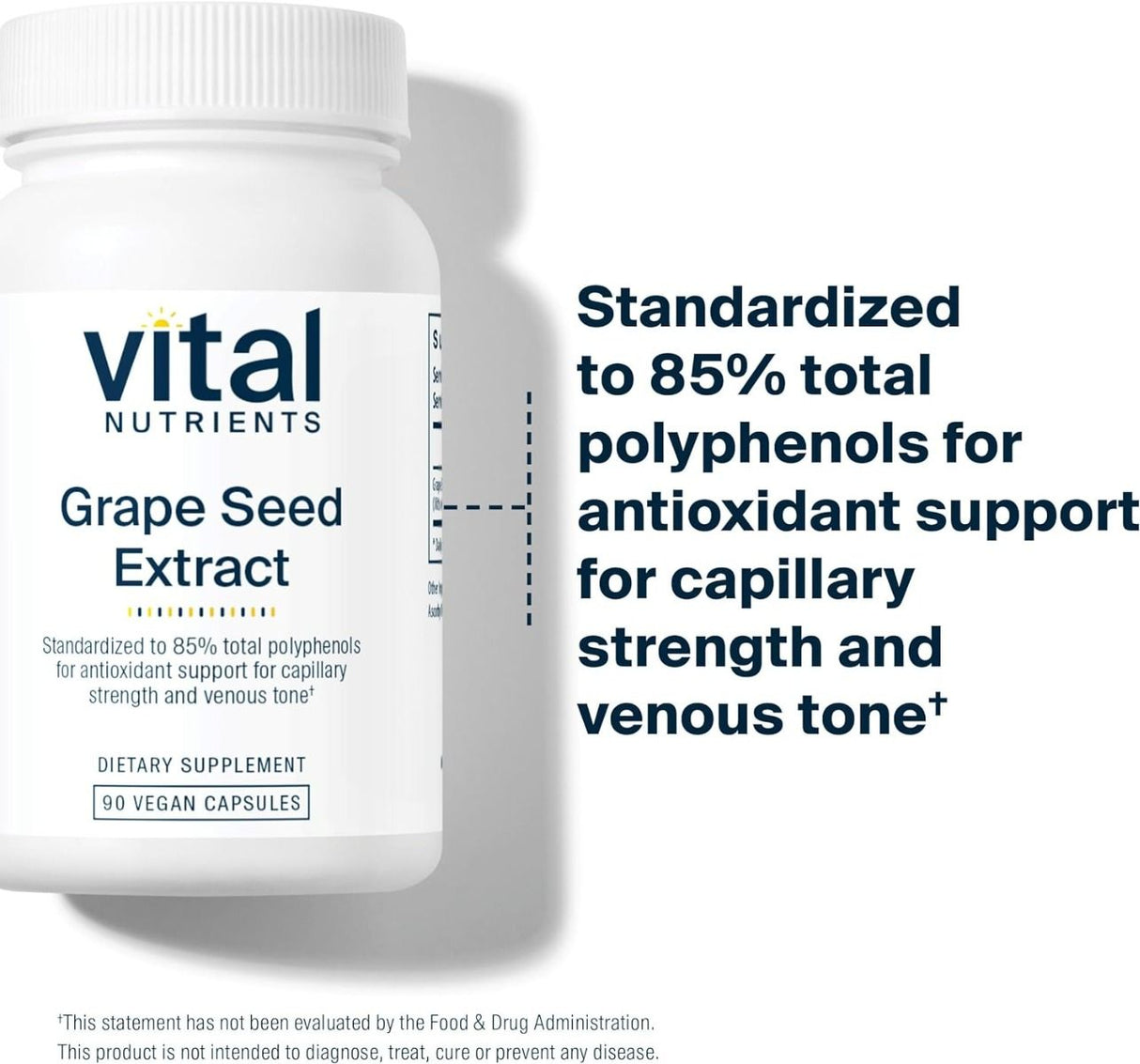 Grape Seed Extract 100 MG 90Capsules