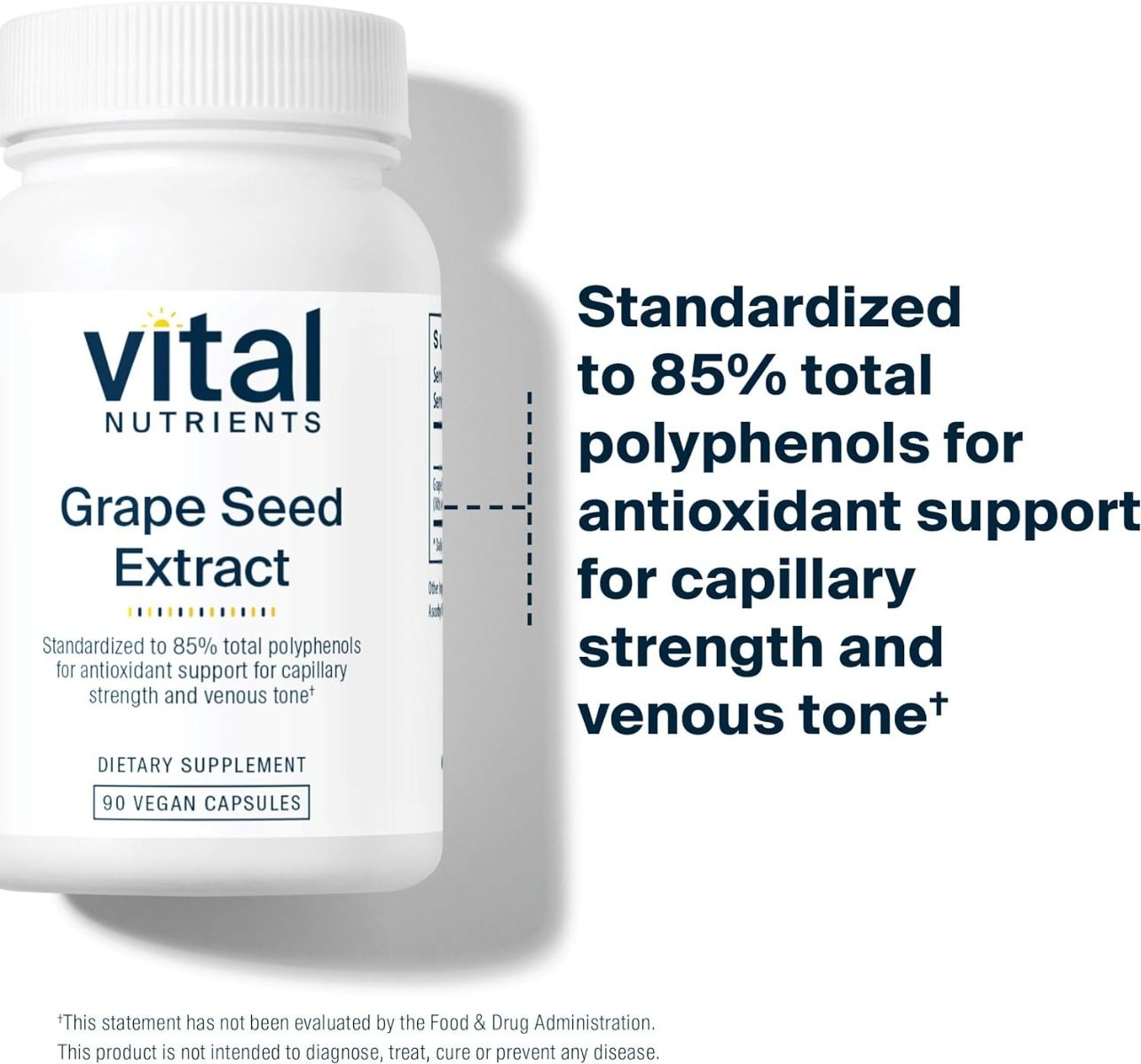 Grape Seed Extract 100 MG 90Capsules