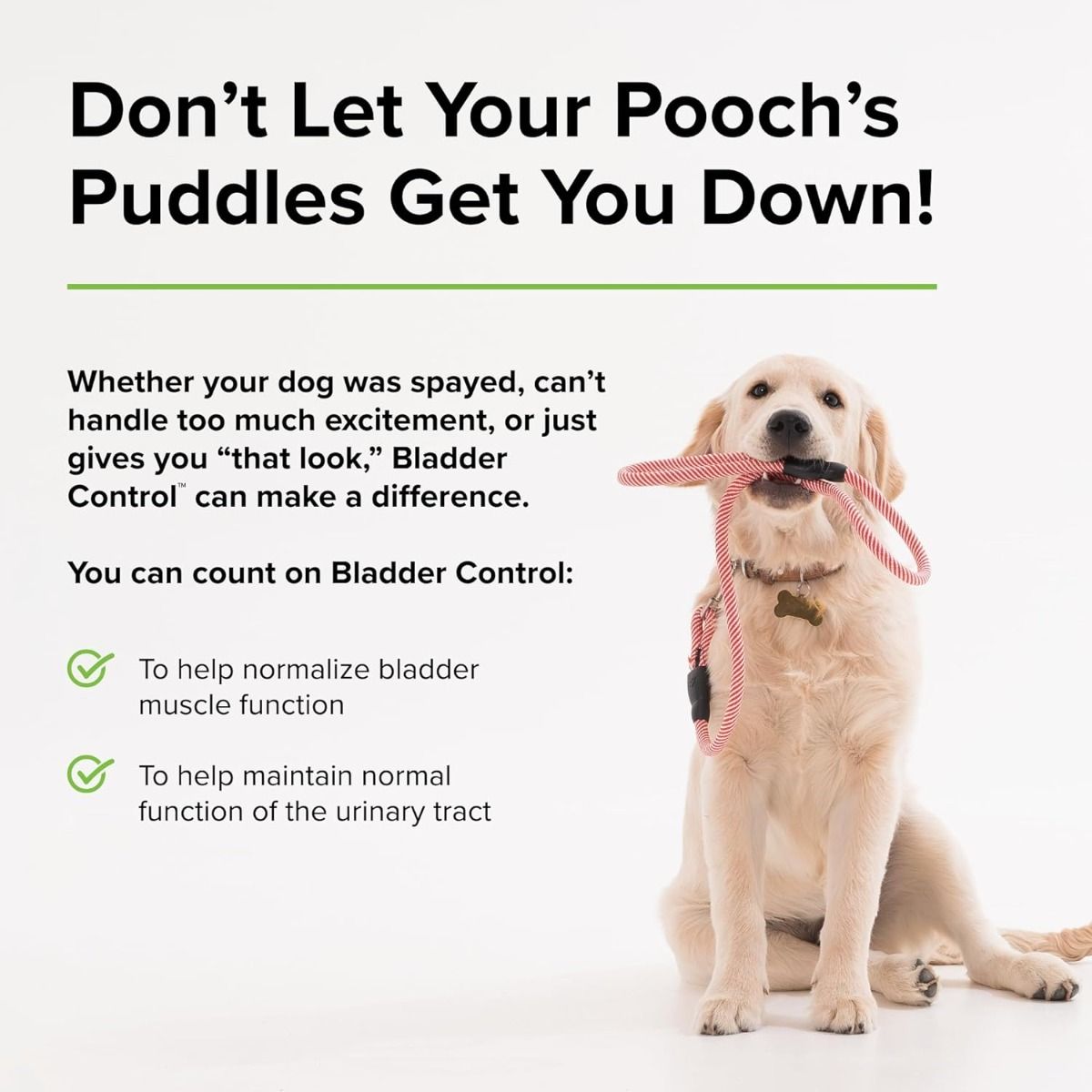 Bladder Control (For Dogs!) 30 Capsules