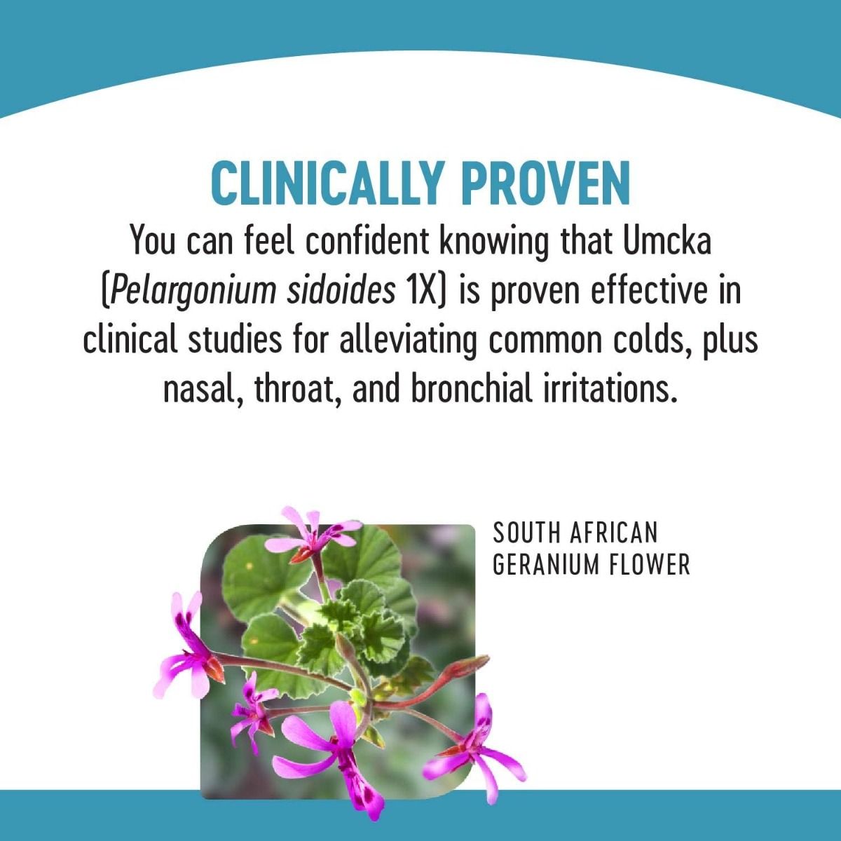 Umcka ColdCare Sugar-Free 4 OZSyrupGrape