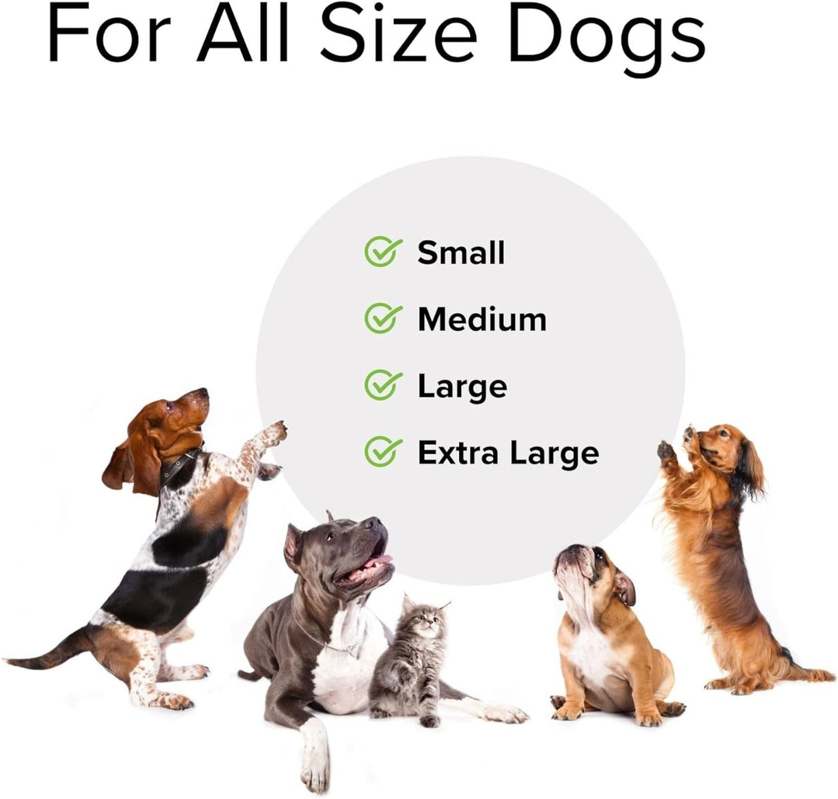 Probiotic Daily (For Dogs!) 60 Chewable Tablets