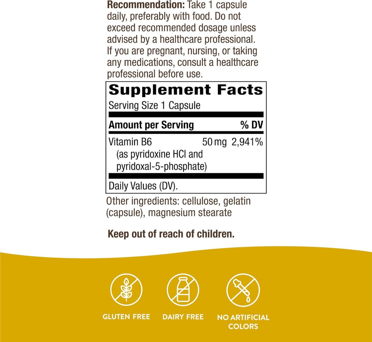 Vitamin B6 100 Capsules