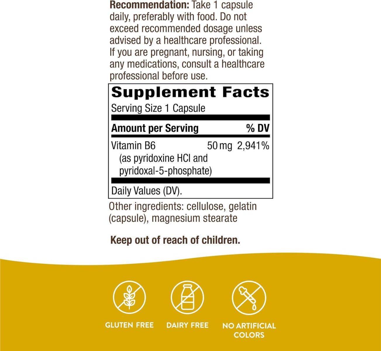 Vitamin B6 100 Capsules