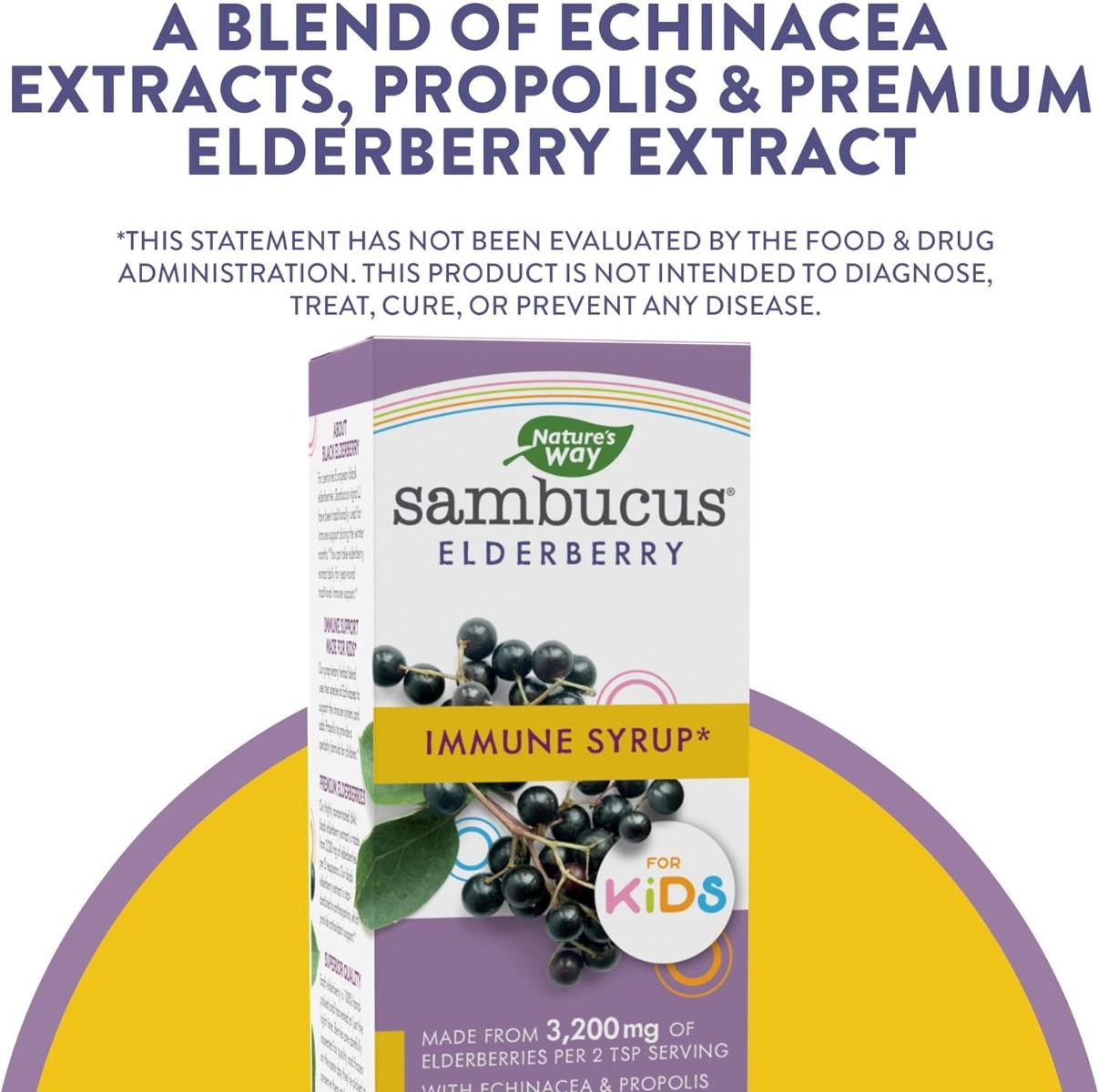 Sambucus for Kids 4 OZSyrupBerry