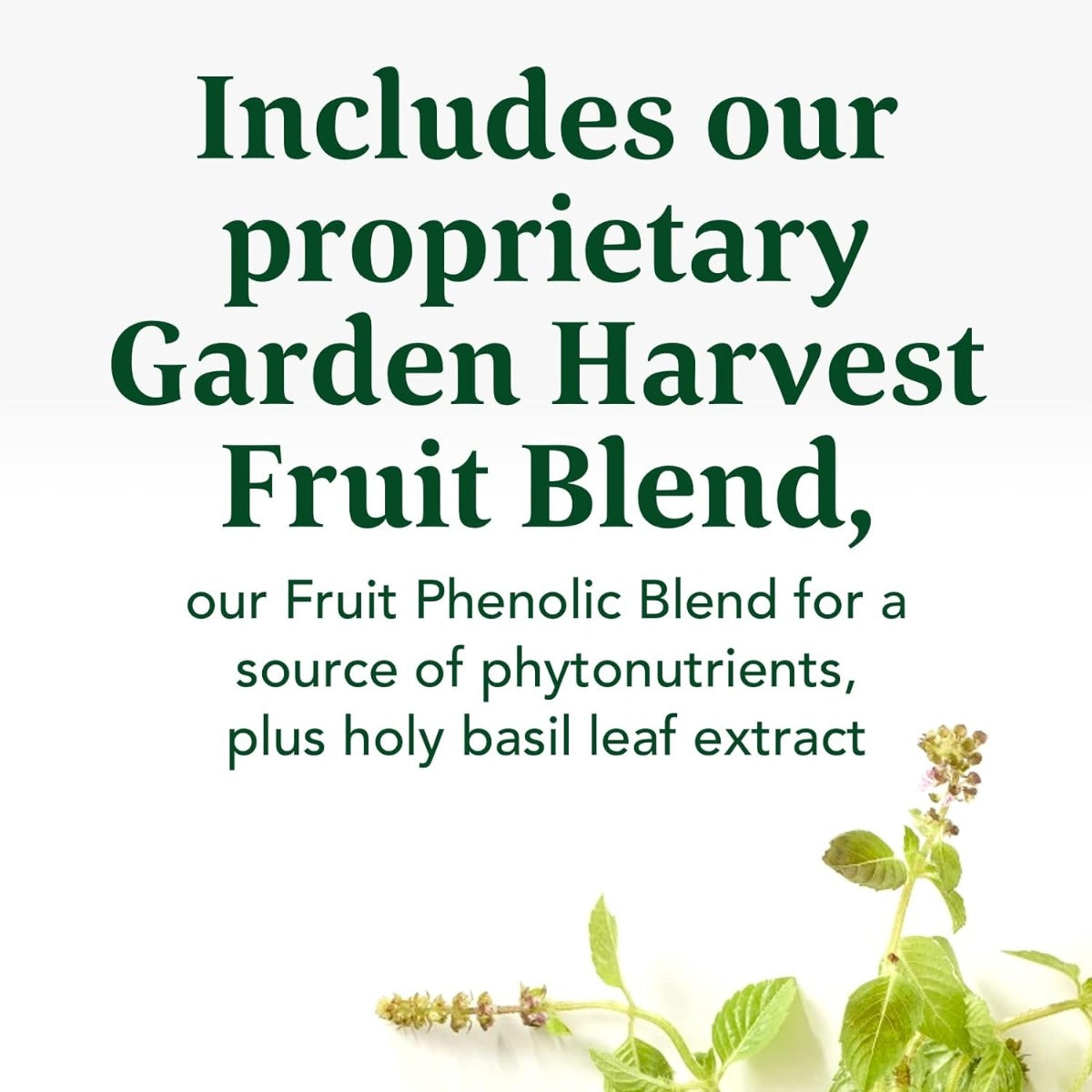 Turmeric Curcumin Extra Strength Whole Body