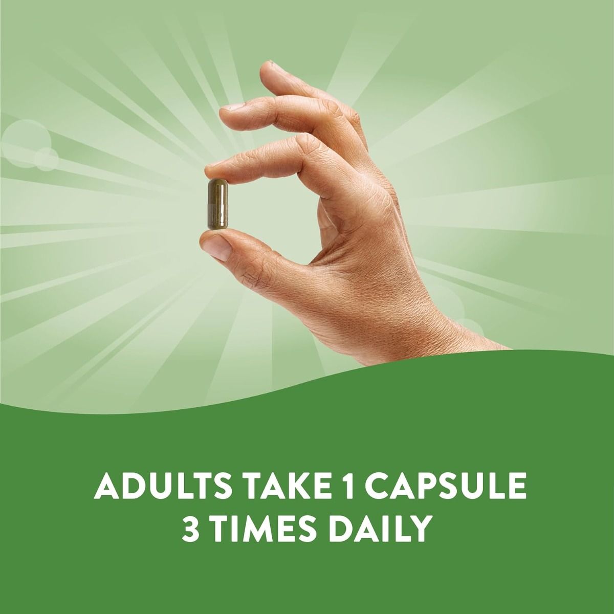 Horsetail Grass 100Capsules