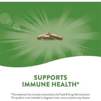 Echinacea Purpurea Herb 180 Capsules