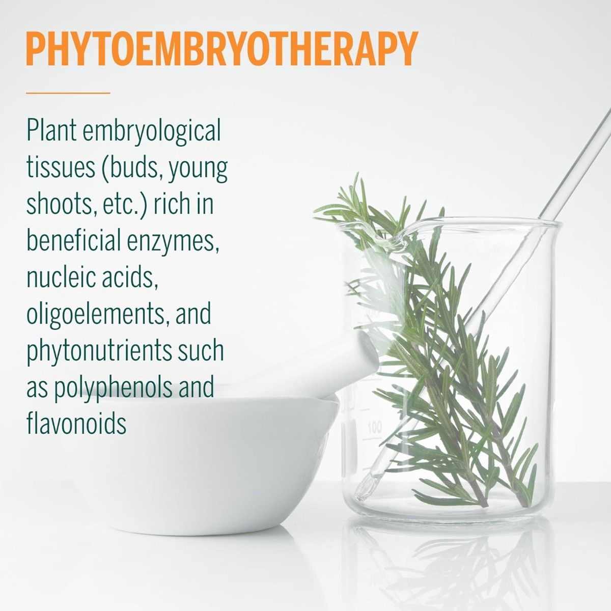 Uri-Gen 15ml (Formerly Uric-Gen)