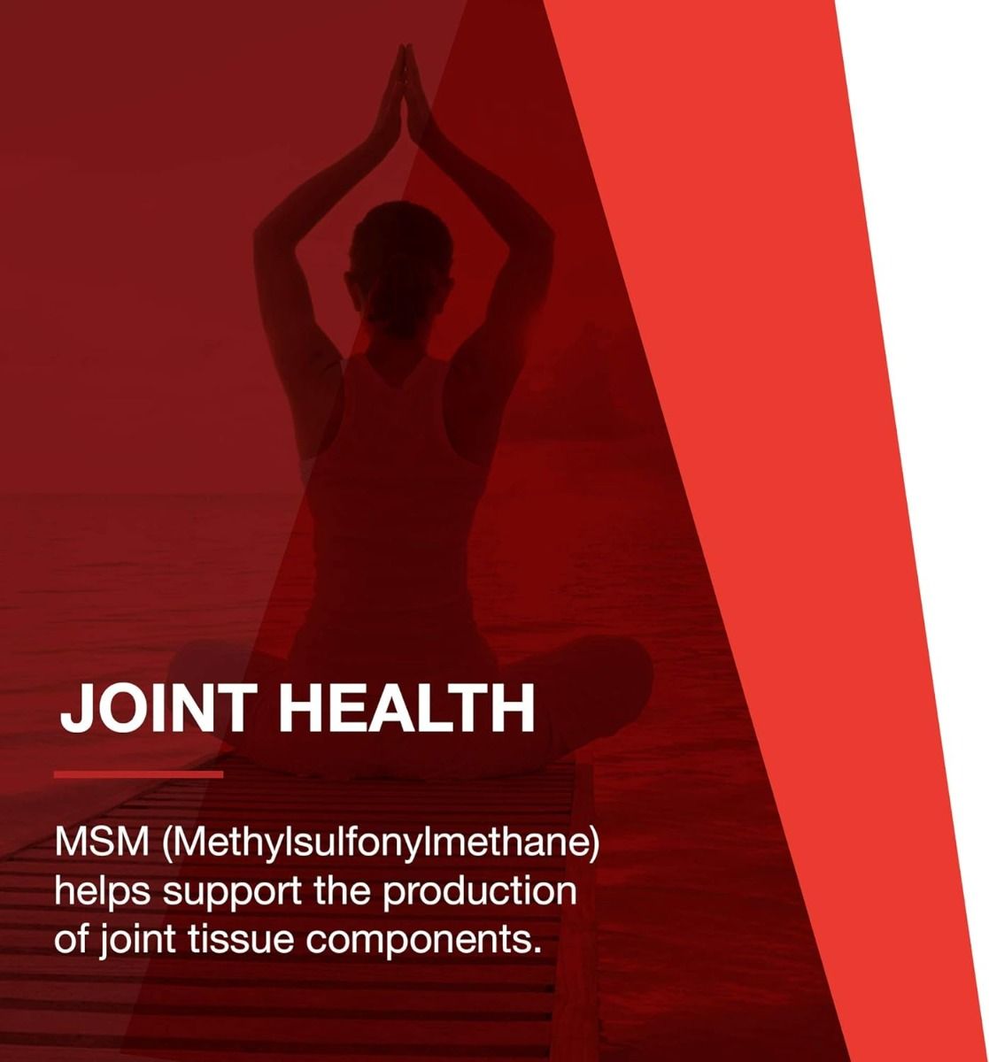 Glucosamine And Chondroitin Liq + MSM 16 Oz