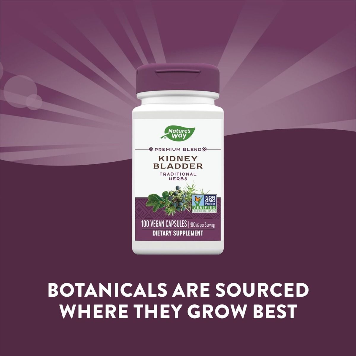 Kidney Bladder 100Capsules