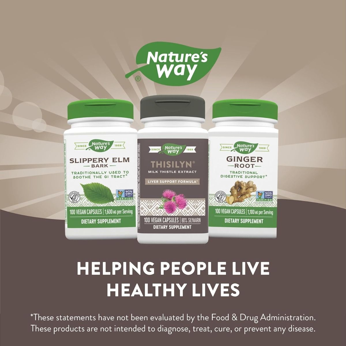 Thisilyn Milk Thistle 100Veggie Caps