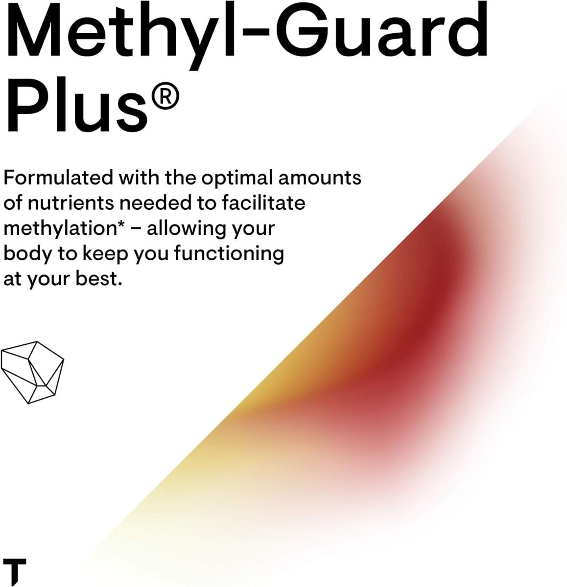 Methyl-Guard Plus 90 Veggie Caps