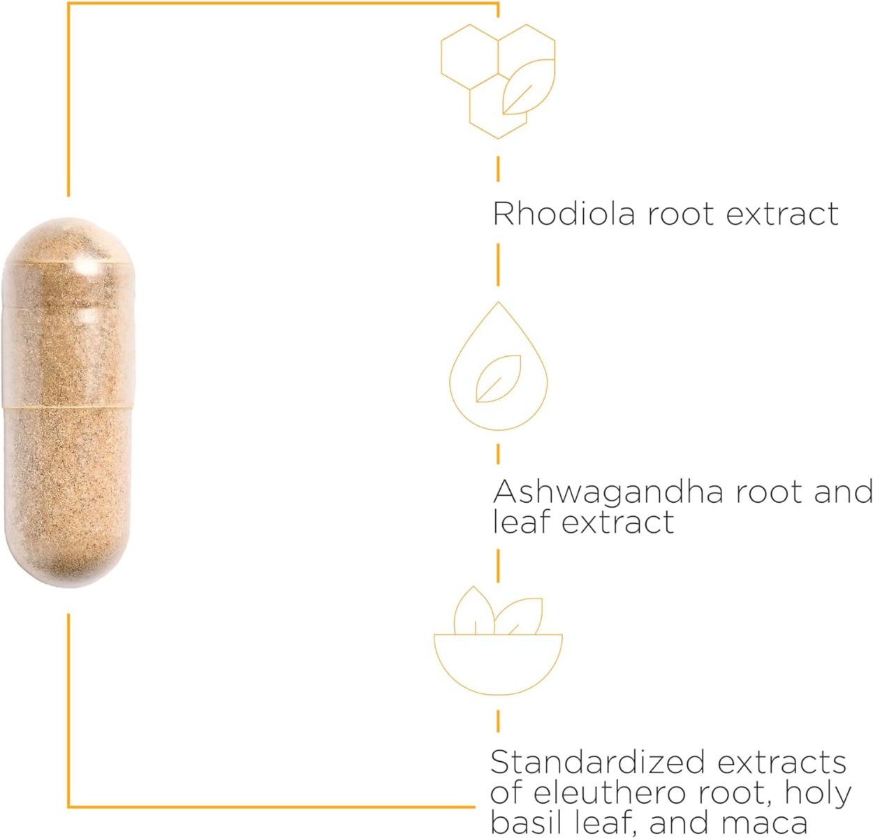 HPA Adapt 120 Veggie Caps