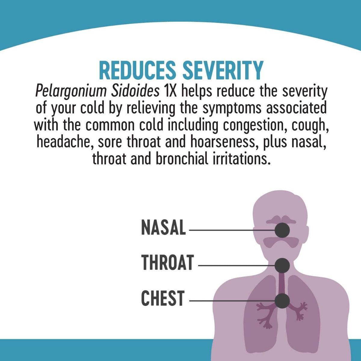 Umcka ColdCare Sugar-Free 4 OZSyrupGrape