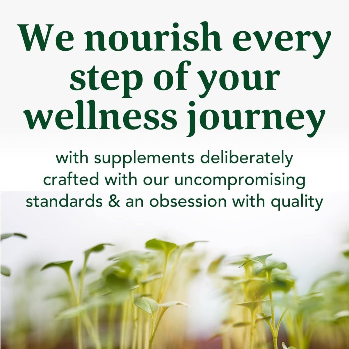 Turmeric Curcumin Extra Strength Whole Body