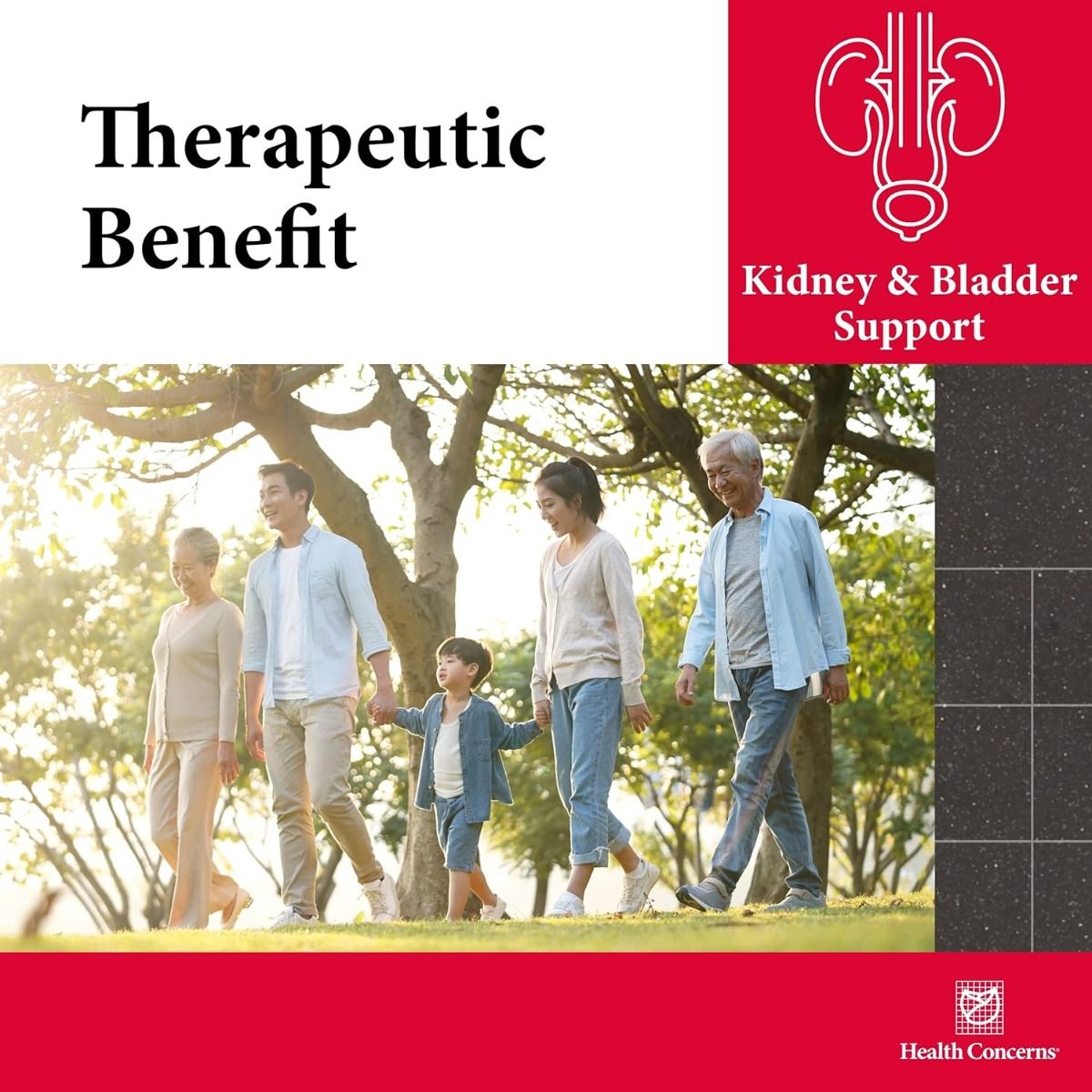 Drain Dampness (Wu Ling San) 90 Capsules