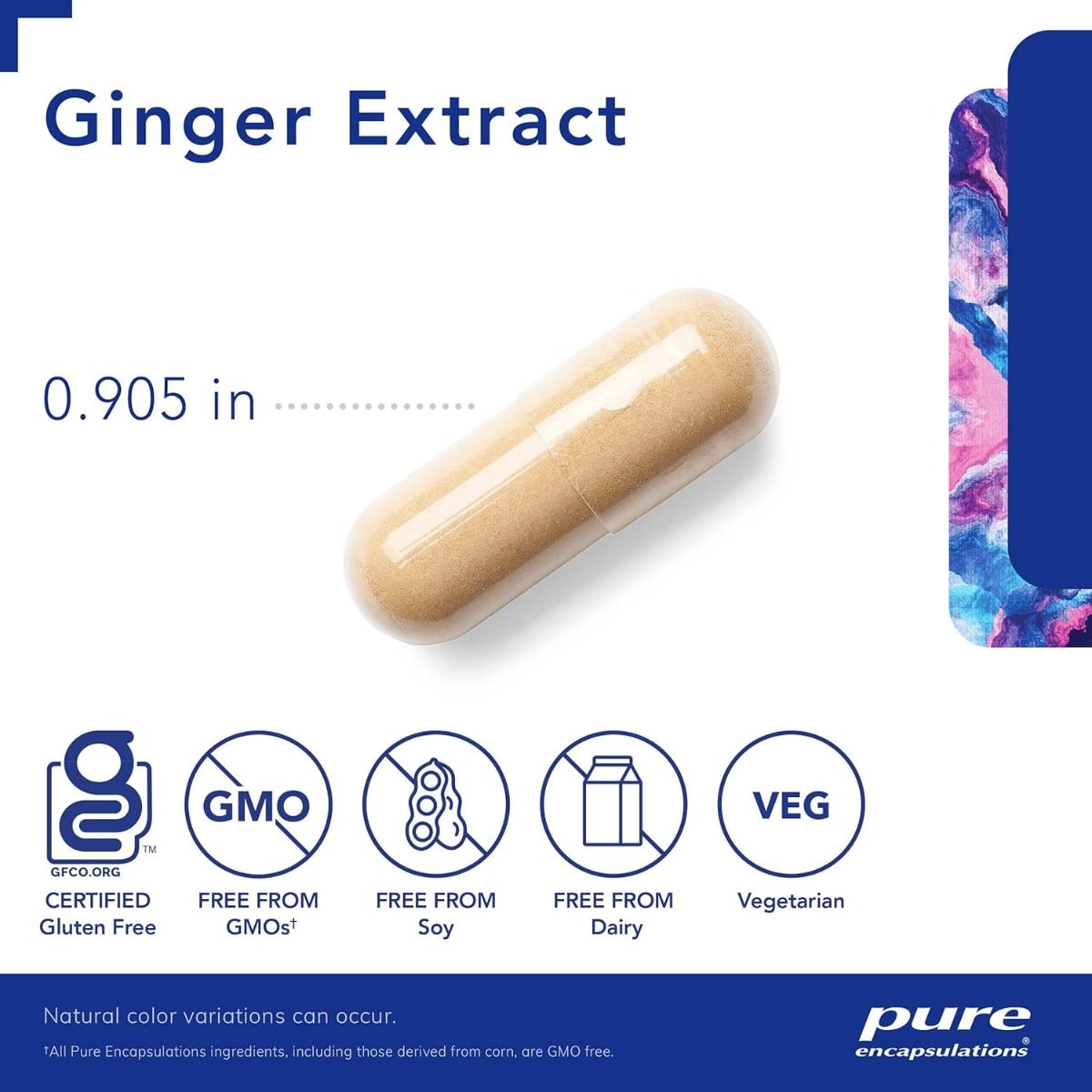 Ginger Extract 120 Veggie Caps