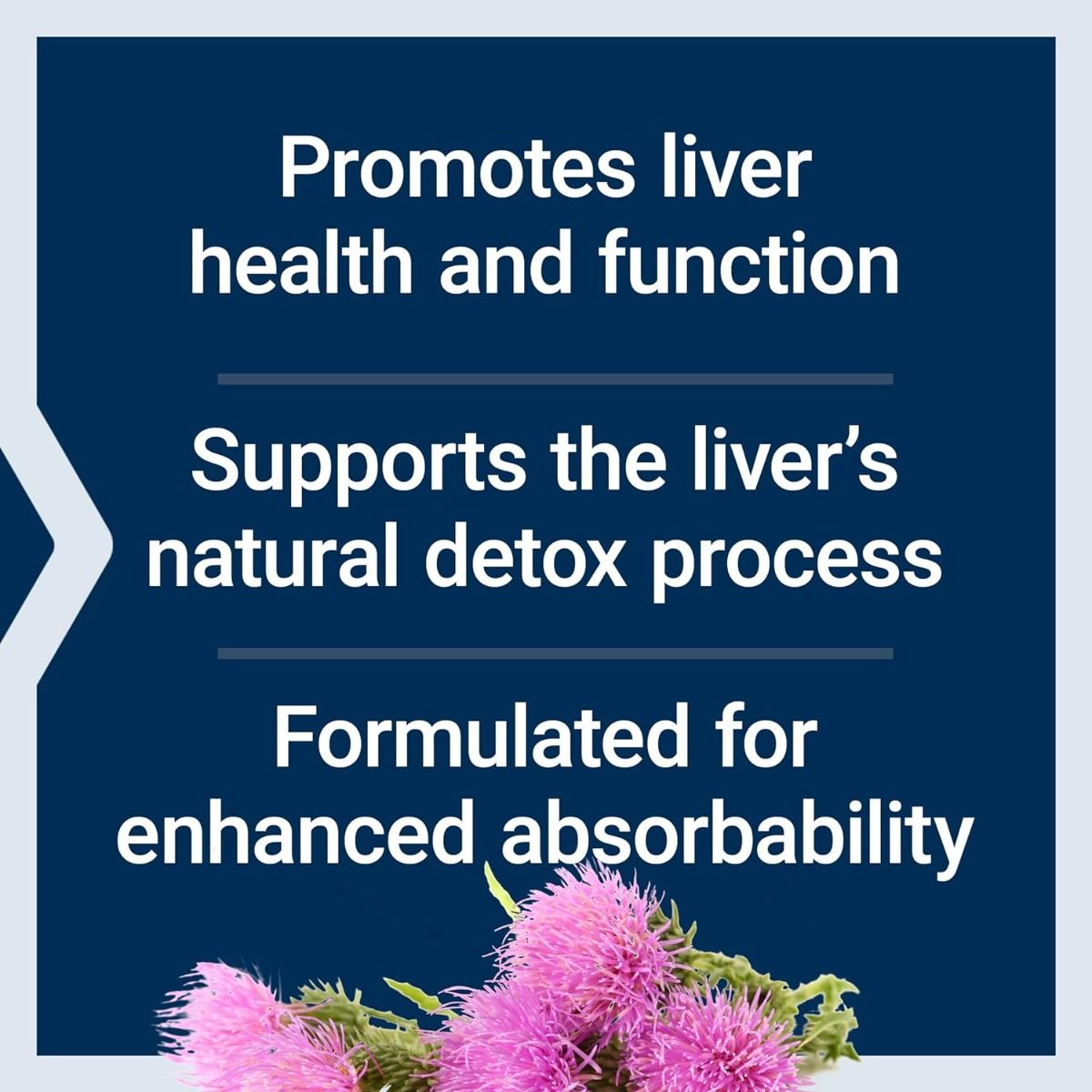 Advanced Milk Thistle 120 Softgels