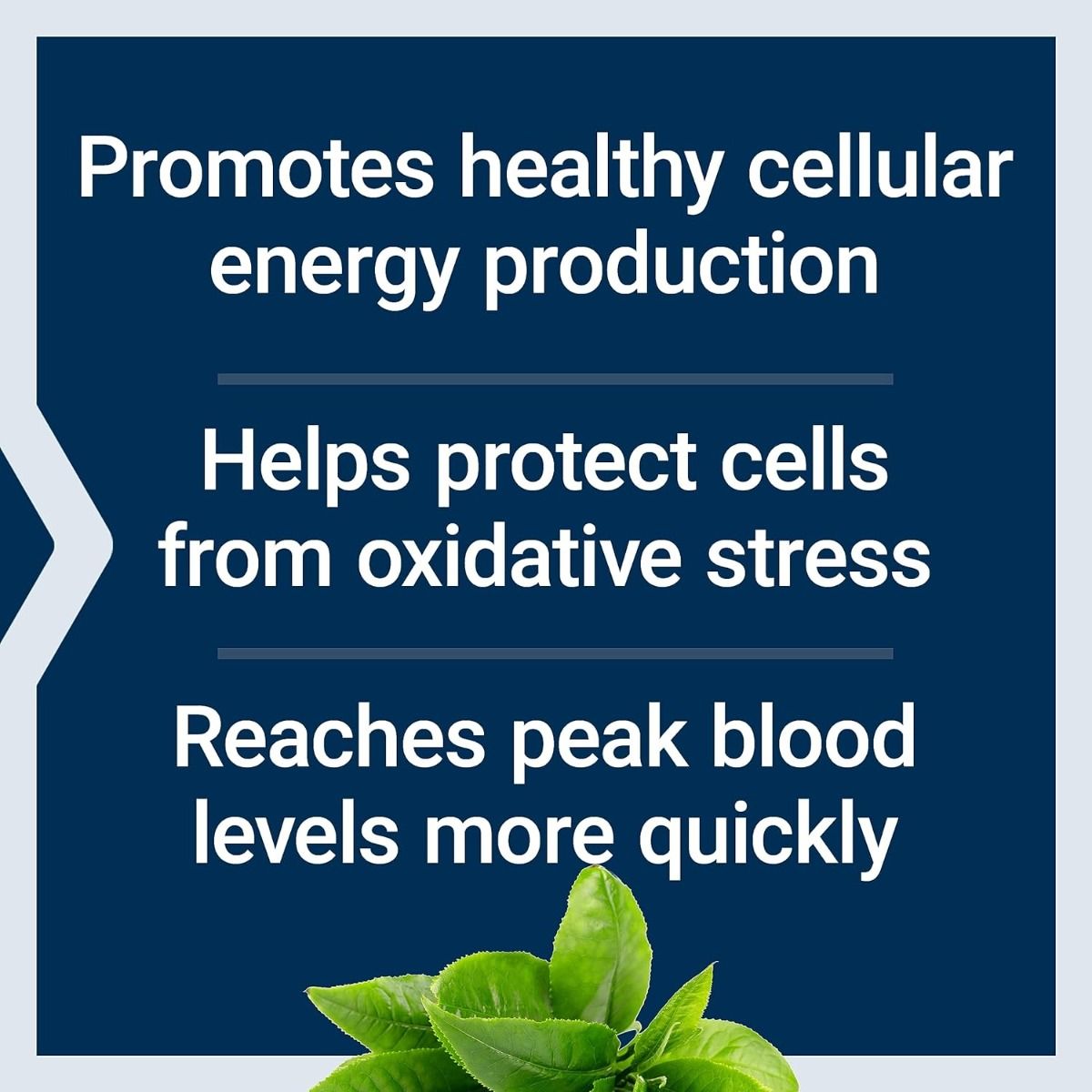 Super R-Lipoic Acid 240 MG 60 Veggie Caps