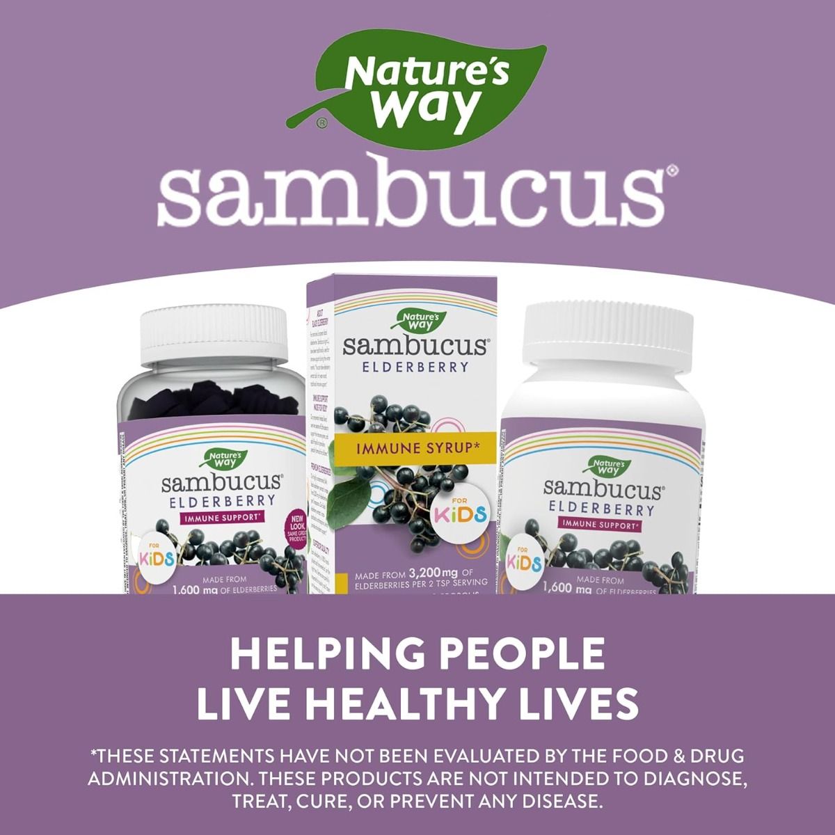 Sambucus for Kids 4 OZSyrupBerry
