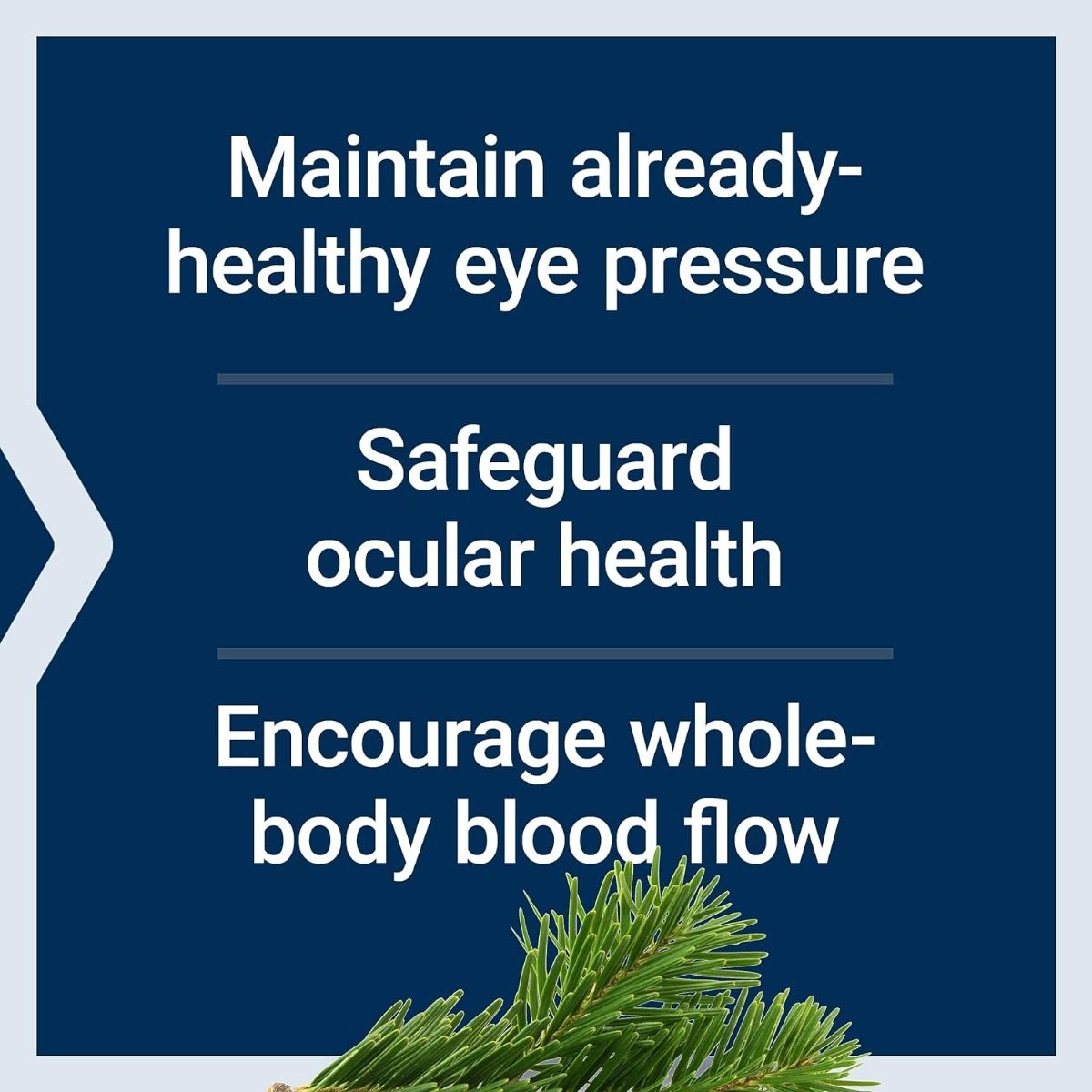 Eye Pressure Support 120 MG 30 Veggie Caps