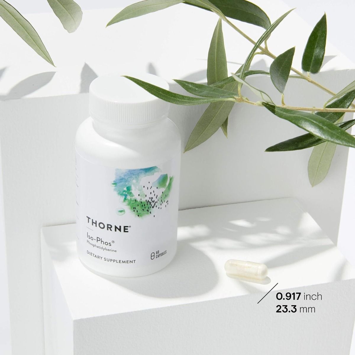 Phosphatidylserine (formerly Iso-Phos) 100 MG 60 Veggie Caps
