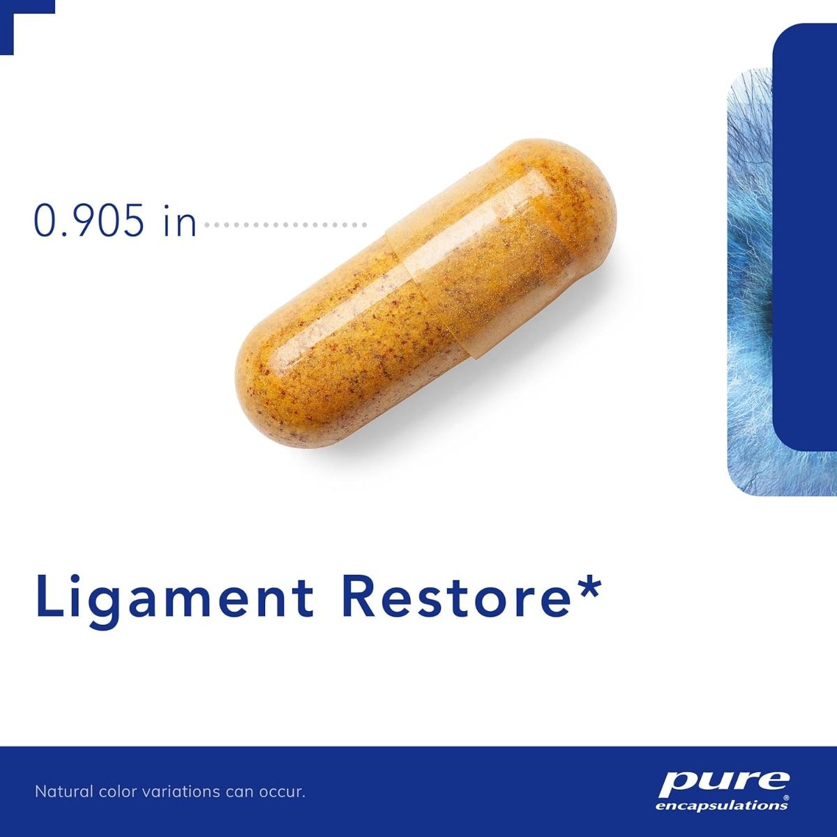 Ligament Restore 120 Veggie Caps