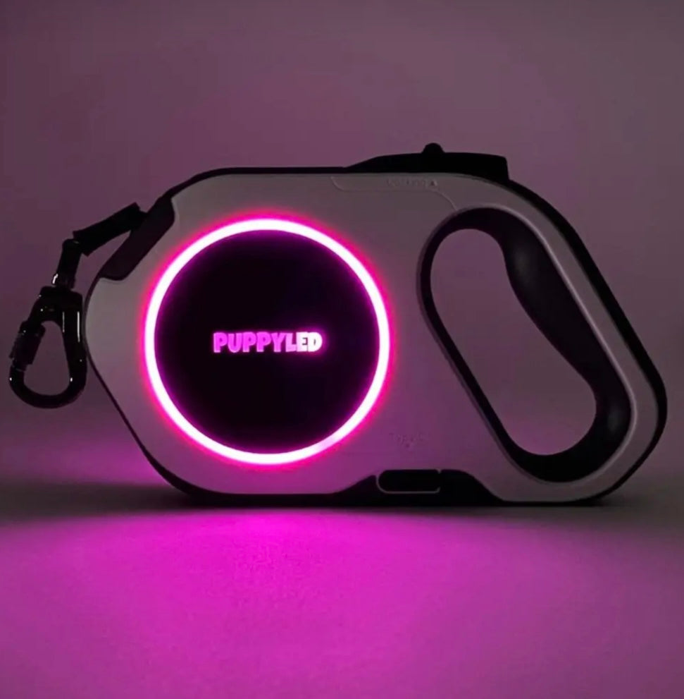 LED Retractable Dog Leash W/Flashlight