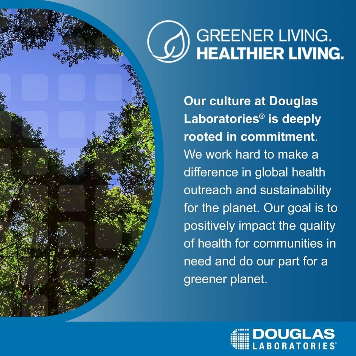 Ginkgo Biloba Max-V 60 Capsules