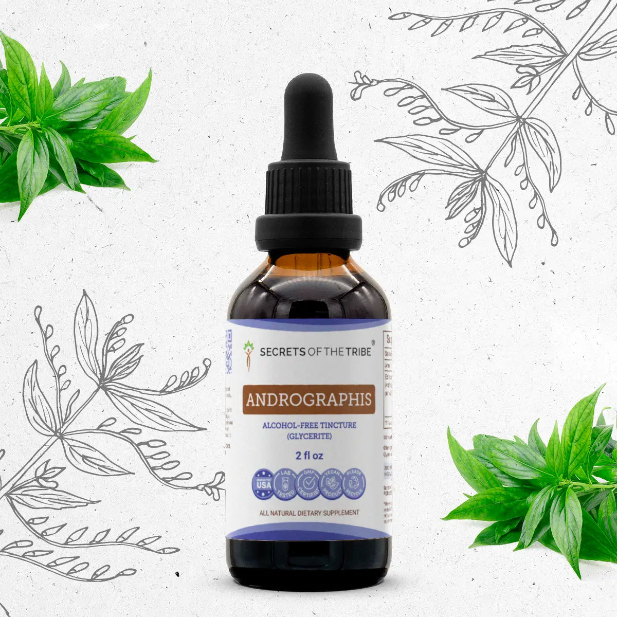 Andrographis Tincture