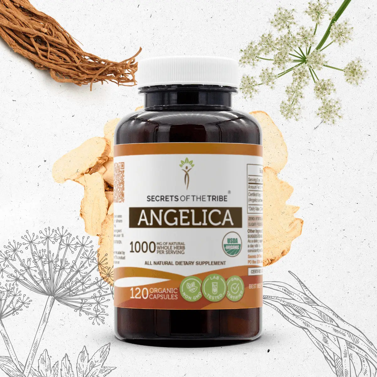 Angelica Capsules