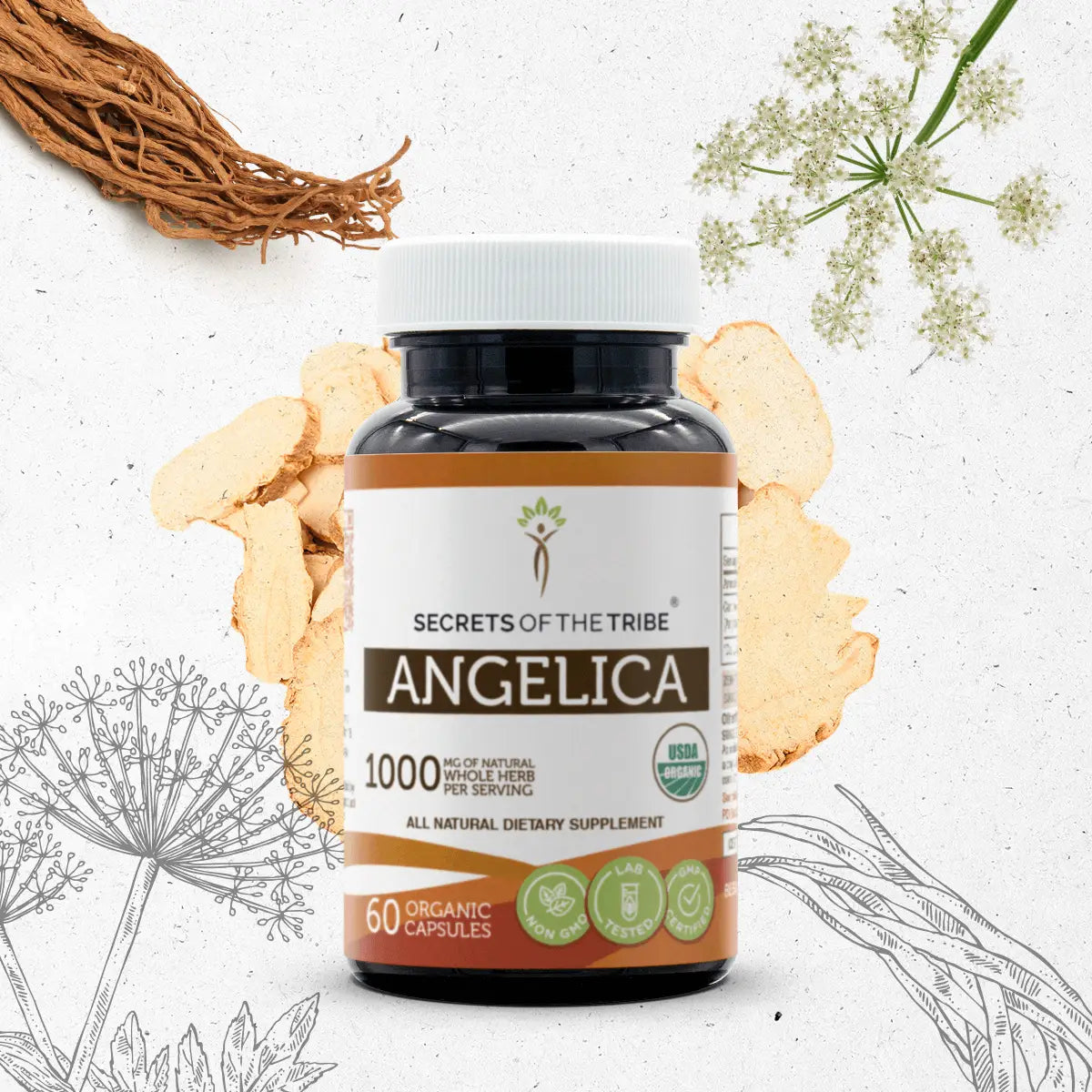 Angelica Capsules