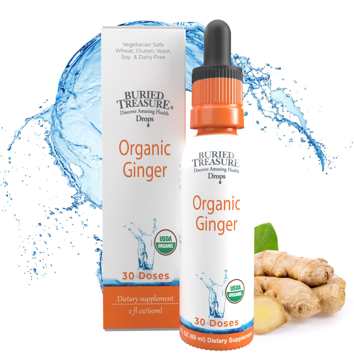 Buried Treasure Liquid Nutrients Organic Ginger Digestive Drops 30 Servings