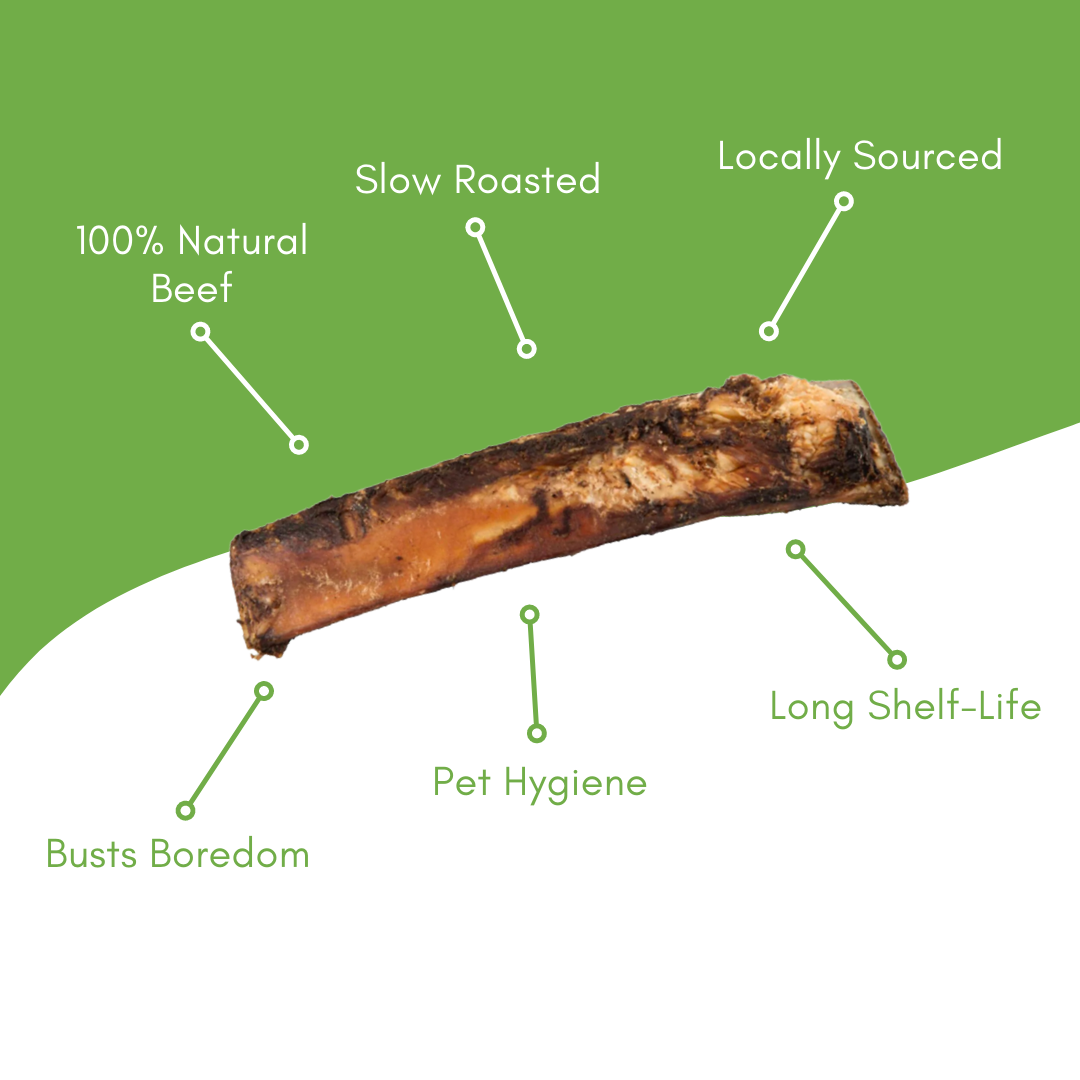 12" Beef Rib Dog Bone