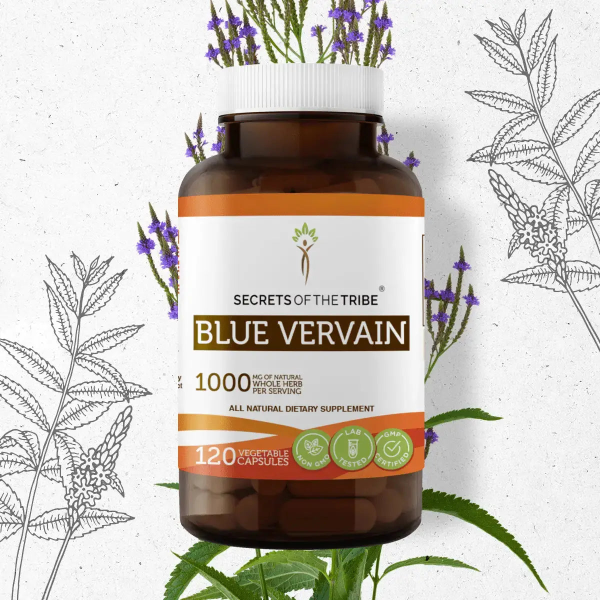 Blue Vervain Capsules