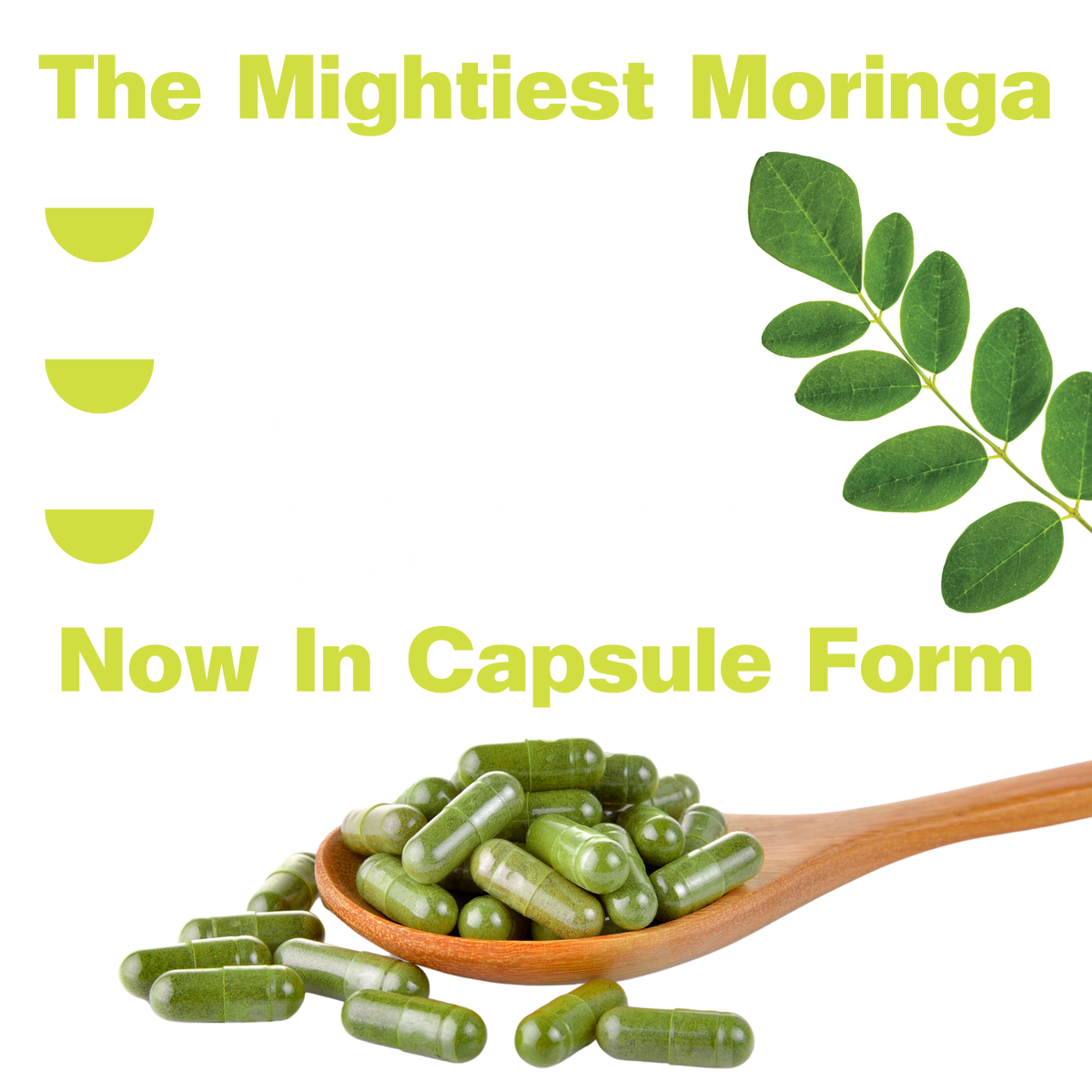 Organic Pure Moringa Powder Capsules (60-Count)