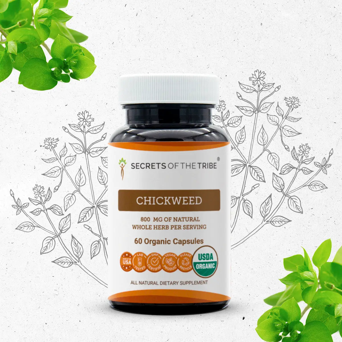Chickweed Capsules