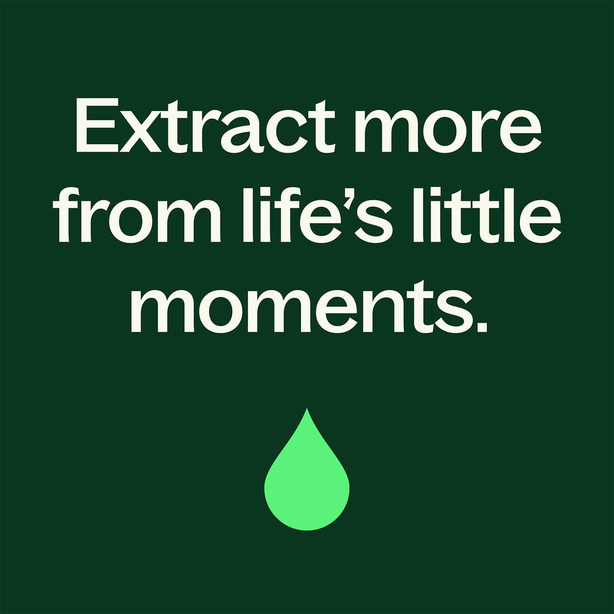 Eucalyptus Dives Essential Oil
