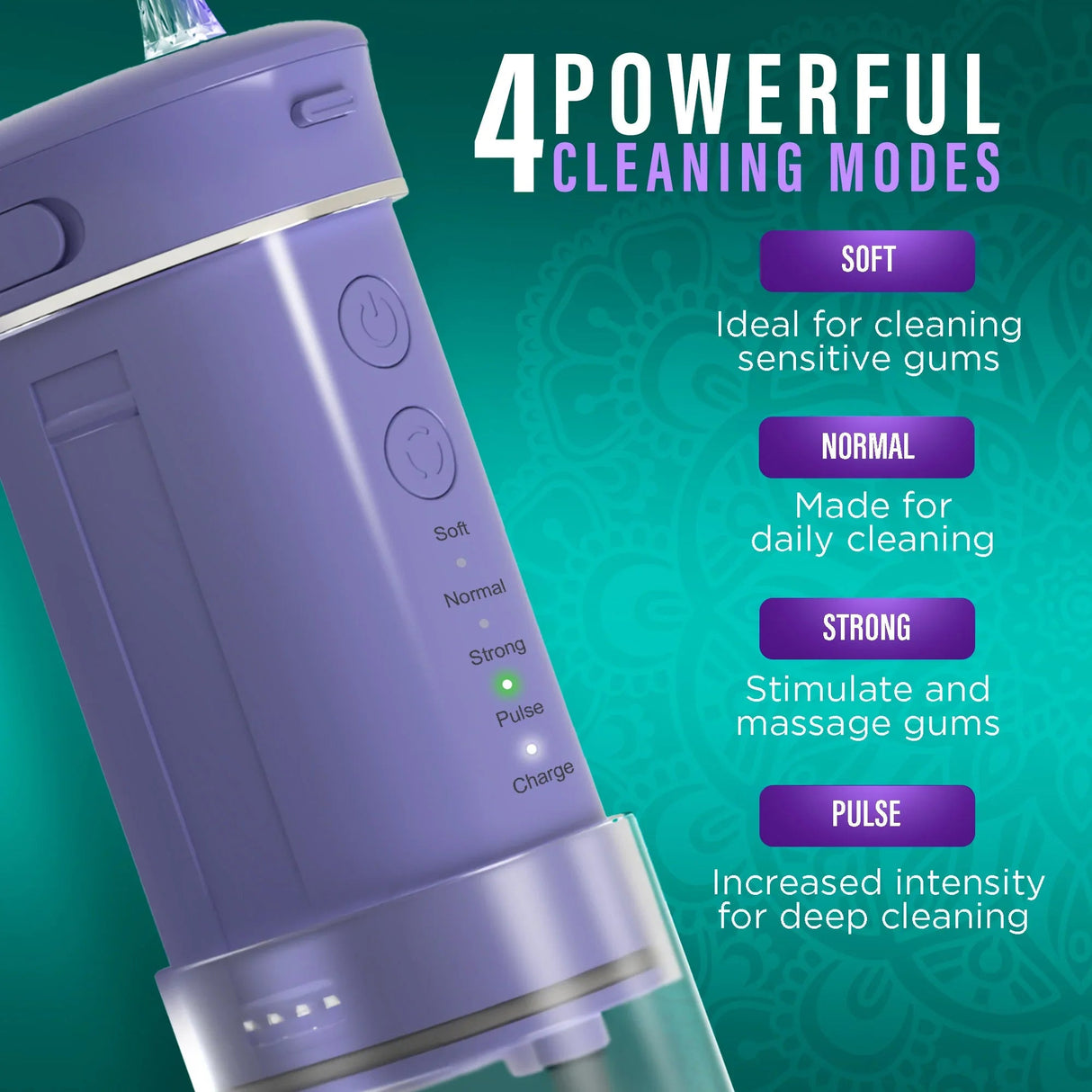 Compact Dental Water Flosser (180 ml)