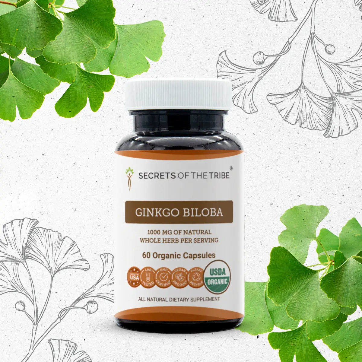 Ginkgo Biloba Capsules